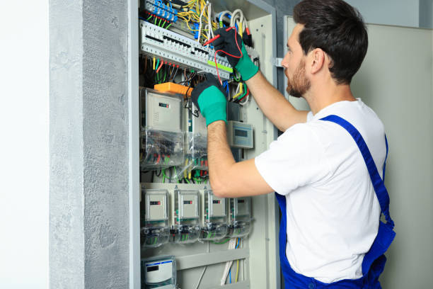 Best Electric Panel Repair  in Littleton, CO